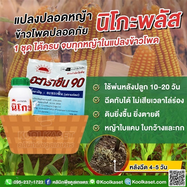 กำจัดหญ้า นิโกะพลัส ใบแคบ ใบกว้าง คูลเกษตร KP57 | คลินิกพืชคูลเกษตร - ชุมตาบง นครสวรรค์