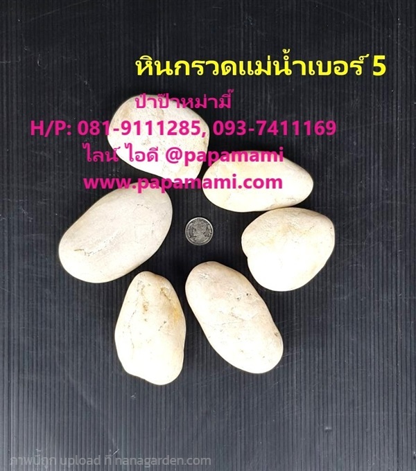 หินกรวดแม่น้ำ เบอร์ 5 ขาว กระสอบ 7-7.5กก | บ้านป่าป๊า & หม่ามี๊ - บางบัวทอง นนทบุรี