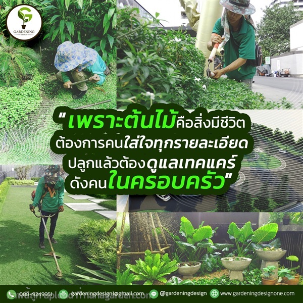 Gardening Design จัดสวน  ออกแบบสวน  ดูแลสวน  ราคาถูก | Gardening Design (บริษัท การ์เดนนิ่ง ดีไซน์ จำกัด) - คลองสามวา กรุงเทพมหานคร