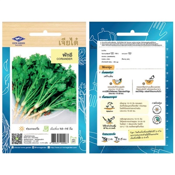 เมล็ดพันธุ์ผักชี   เจียไต๋ ซื้อ 10 แถม 1 | สวนตั้นแน้วพันธุ์ไม้ - วังสะพุง เลย