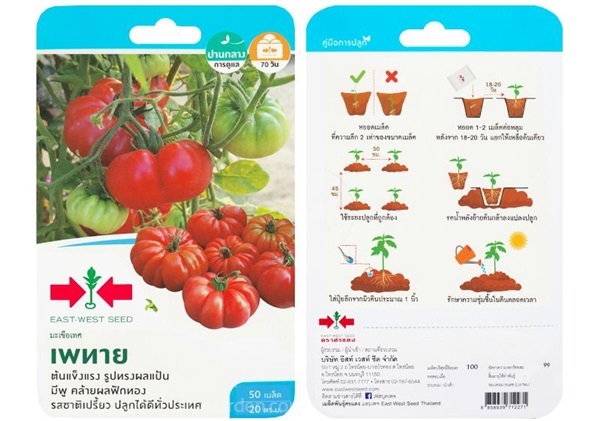 เมล็ดมะเขือเทศฟักทอง เพทาย ศรแดง ซื้อ 10 แถม1  | สวนตั้นแน้วพันธุ์ไม้ - วังสะพุง เลย