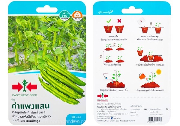 เมล็ดถั่วพู กำแพงแสน  ตรา ศรแดง ซื้อ10 แถม1 | สวนตั้นแน้วพันธุ์ไม้ - วังสะพุง เลย