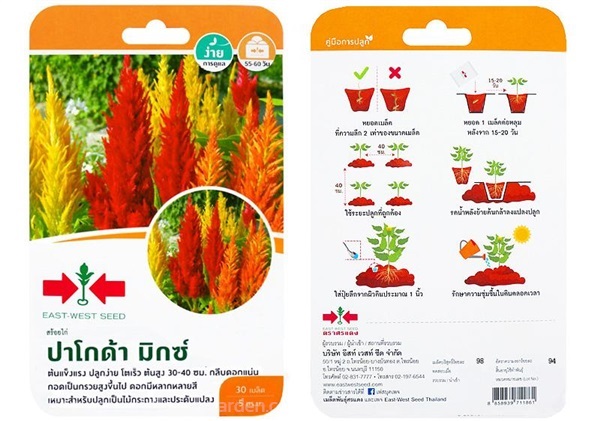 เมล็ดสร้อยไก่ ปาโกด้า  ตรา ศรแดง ซื้อ10 แถม1 | สวนตั้นแน้วพันธุ์ไม้ - วังสะพุง เลย