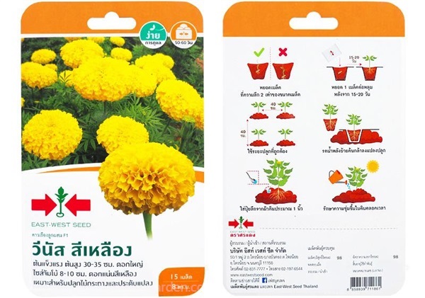 เมล็ดดาวเรือง สีเหลือง  ตรา ศรแดง ซื้อ10 แถม1  | สวนตั้นแน้วพันธุ์ไม้ - วังสะพุง เลย