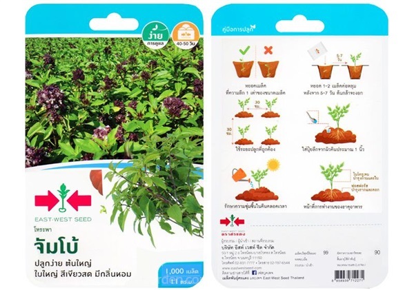 เมล็ดโหระพา จัมโบ้  ตรา ศรแดง ซื้อ10 แถม1  | สวนตั้นแน้วพันธุ์ไม้ - วังสะพุง เลย