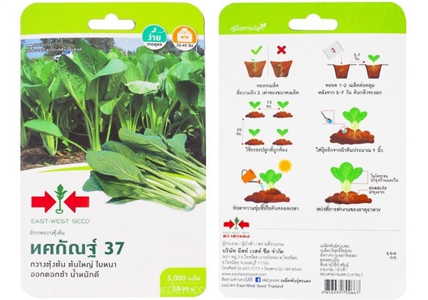 เมล็ดผักกาดกวางตุ้ง  ตรา ศรแดง ซื้อ10 แถม1  | สวนตั้นแน้วพันธุ์ไม้ - วังสะพุง เลย