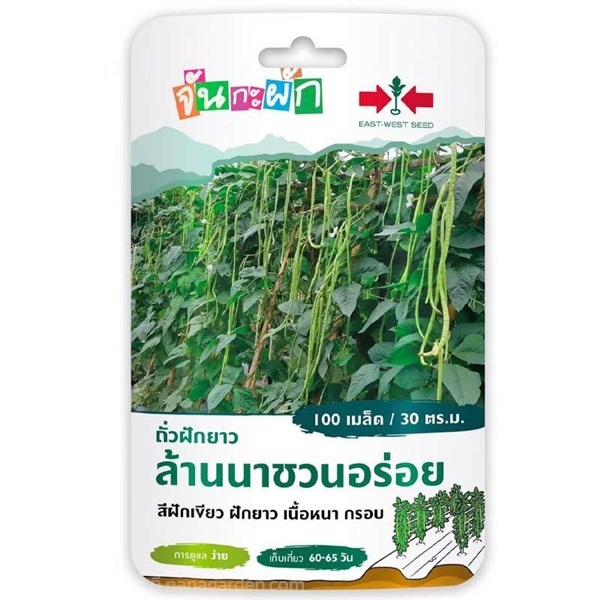 เมล็ดถั่วฝักยาว (จันกะผัก) ตรา ศรแดง ซื้อ10 แถม1  | สวนตั้นแน้วพันธุ์ไม้ - วังสะพุง เลย