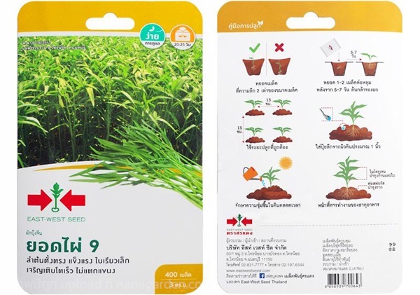 เมล็ดพันธุ์ ผักบุ้งจีน ตรา ศรแดง ซื้อ10 แถม1  | สวนตั้นแน้วพันธุ์ไม้ - วังสะพุง เลย