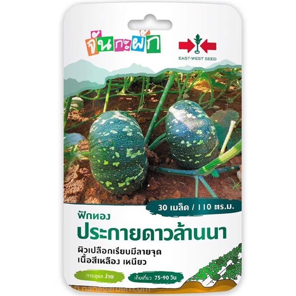 เมล็ดฟักทอง ประกายดาวล้านนา ตรา ศรแดง ซื้อ10 แถม1  | สวนตั้นแน้วพันธุ์ไม้ - วังสะพุง เลย