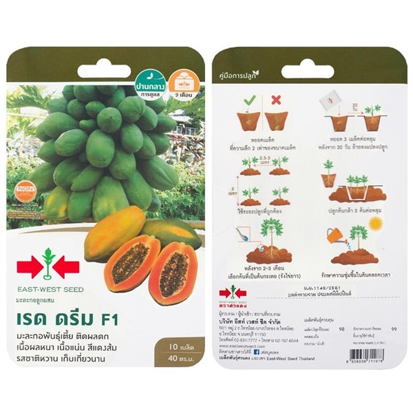 เมล็ดมะละกอลูกผสม เรด ดรีม  ตรา ศรแดง ซื้อ10 แถม1 | สวนตั้นแน้วพันธุ์ไม้ - วังสะพุง เลย