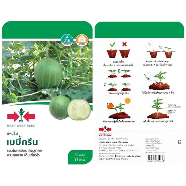 เมล็ดแตงโม เบบี้กรีน  ตรา ศรแดง ซื้อ10 แถม1  | สวนตั้นแน้วพันธุ์ไม้ - วังสะพุง เลย