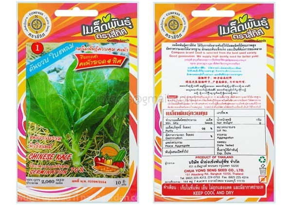 เมล็ดคะน้ายอด ตรา 4ทิศ ซื้อ10 แถม1  | สวนตั้นแน้วพันธุ์ไม้ - วังสะพุง เลย