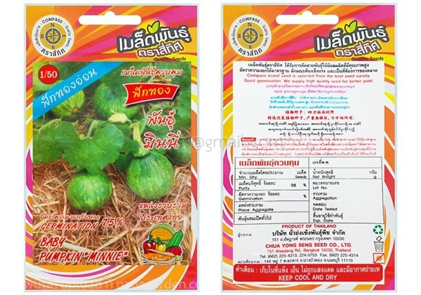 เมล็ดฟักทอง พันธุ์มินนี่ ตรา4ทิศ ซื้อ10 แถม1  | สวนตั้นแน้วพันธุ์ไม้ - วังสะพุง เลย