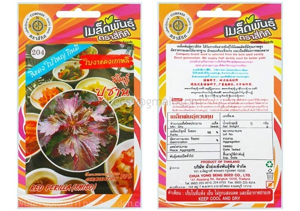 เมล็ดใบงาแดงเกาหลี พันธุ์ปูซาน ตรา4ทิศ ซื้อ10 แถม1 | สวนตั้นแน้วพันธุ์ไม้ - วังสะพุง เลย