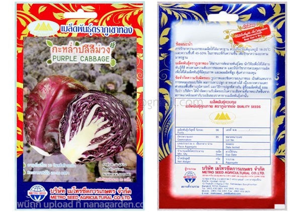 เมล็ดกะหล่ำปลีสีม่วง ตรา ภูเขาทอง ซื้อ10 แถม1 | สวนตั้นแน้วพันธุ์ไม้ - วังสะพุง เลย