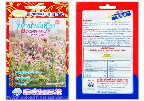 เมล็ดดอกบานไม่รู้โรย  ตราภูเขาทอง ซื้อ10 แถม1 | สวนตั้นแน้วพันธุ์ไม้ - วังสะพุง เลย