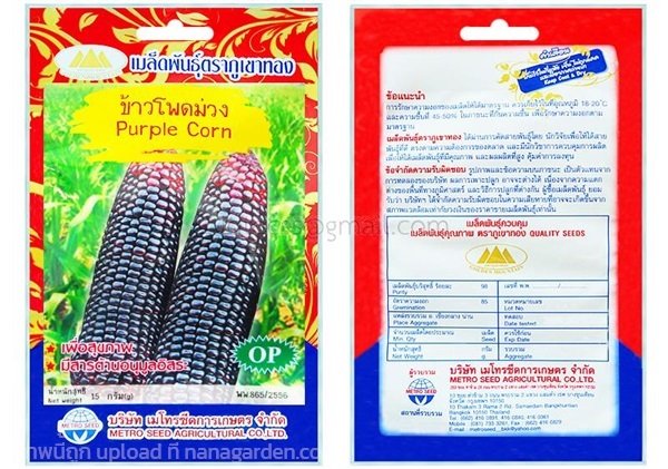 เมล็ดข้าวโพดม่วง ตรา ภูเขาทอง ซื้อ10 แถม1 | สวนตั้นแน้วพันธุ์ไม้ - วังสะพุง เลย