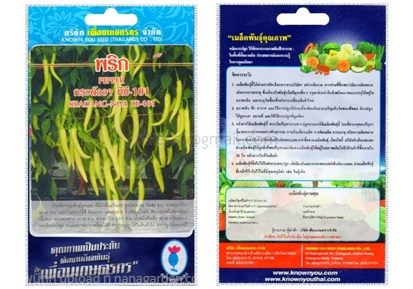 เมล็ดพริก กระดังงา TB-101 เพื่อนเกษตรกร ซื้อ10แถม1 | สวนตั้นแน้วพันธุ์ไม้ - วังสะพุง เลย