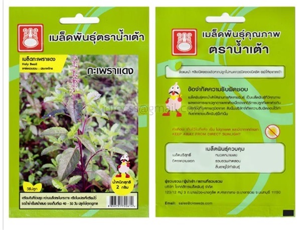 เมล็ดกะเพราแดง ตรา น้ำเต้า ซื้อ10 แถม1 | สวนตั้นแน้วพันธุ์ไม้ - วังสะพุง เลย