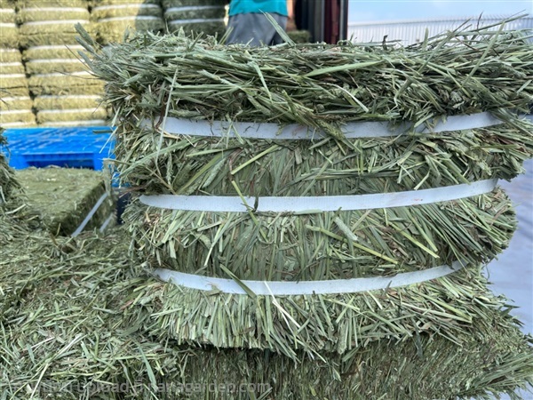 หญ้าทิมโมธีฟ่อน 25-30กิโล | บริษัท จอมทอง ฟาร์ม ชอป จำกัด - บางใหญ่ นนทบุรี