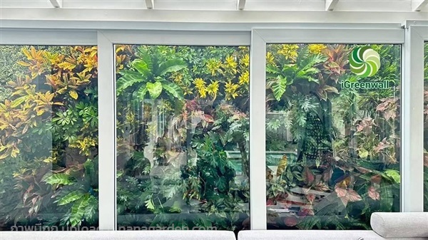 สวนแนวตั้งวิวห้องกระจกสวยๆ | สวนแนวต้้ง iGreenwall - ทุ่งครุ กรุงเทพมหานคร