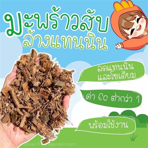 มะพร้าวสับล้างสารแทนนิน | ห้างหุ้นส่วนจำกัด เฟอร์ทิไลซ์ปุ๋ยไทย - เมืองขอนแก่น ขอนแก่น