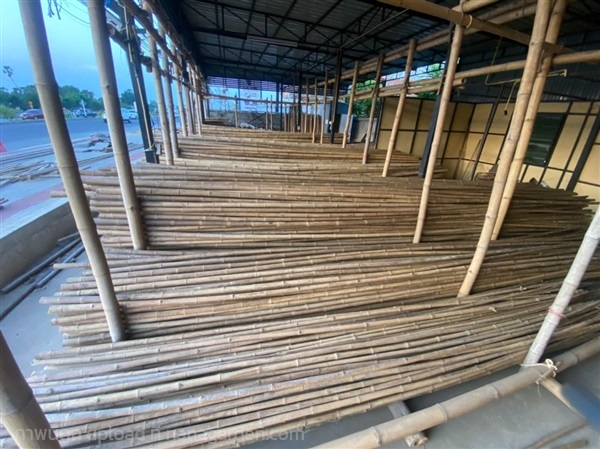 ไม้ไผ่แช่น้ำยาป้องกันมอด ขนาด 2 นิ้ว ยาว 6 เมตร | TuaBamboo - เดชอุดม อุบลราชธานี