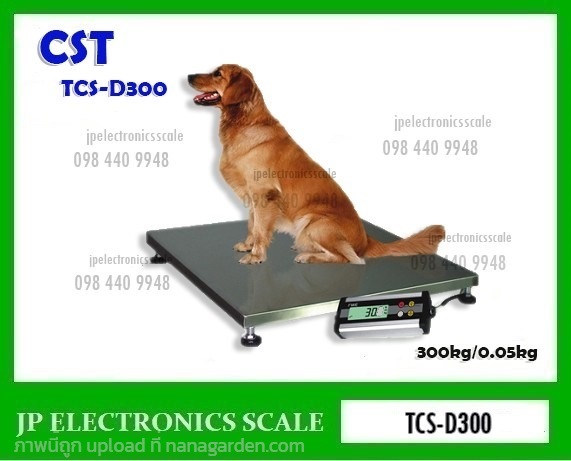 เครื่องชั่งน้ำหนักสัตว์ 300kg CST รุ่น TCS-D300 | หจก.เอส.พี.เจ.อิเล็กทรอนิกส์ สเกล - บ้านไผ่ ขอนแก่น