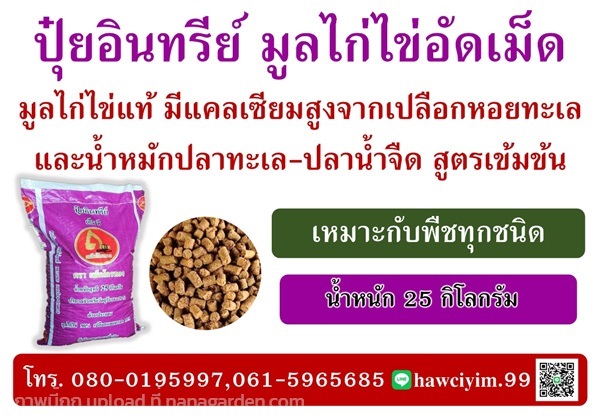 ปุ๋ยอินทรีย์ มูลไก่ไข่อัดเม็ด กระสอบสีม่วง  | โรงปุ๋ยอมรไต๋ เอ็มดีฟาร์เมอร์ - บางแพ ราชบุรี