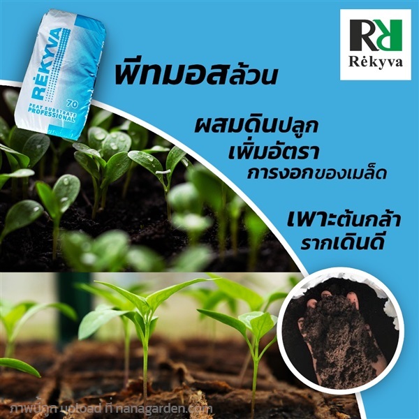 พีทมอสRekyva