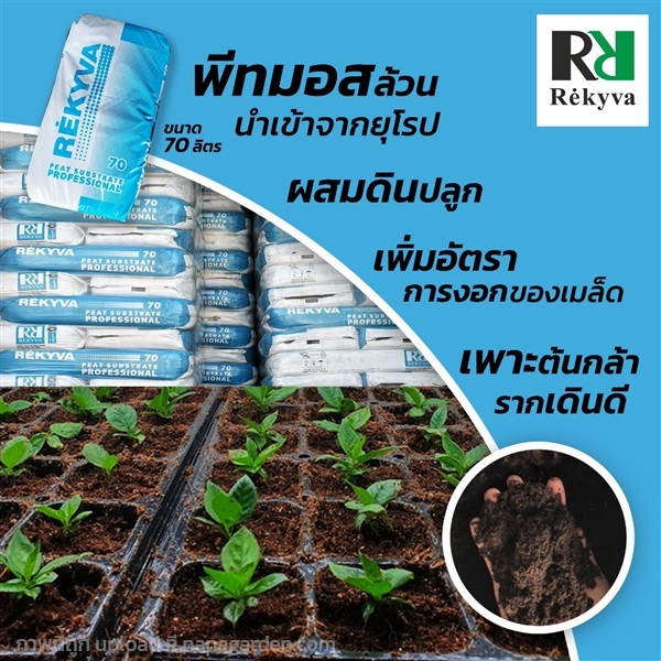 พีทมอสRekyva
