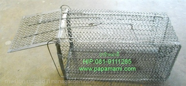 กรงดักหนู ใหญ่ (กxยxส: 7"x14"x7")  | บ้านป่าป๊า & หม่ามี๊ - บางบัวทอง นนทบุรี