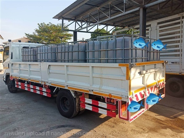 ขายส่งน้ำนึ่งโปรตีนทูน่าเกรดพรีเมี่ยม | SD.Garden - เมืองราชบุรี ราชบุรี