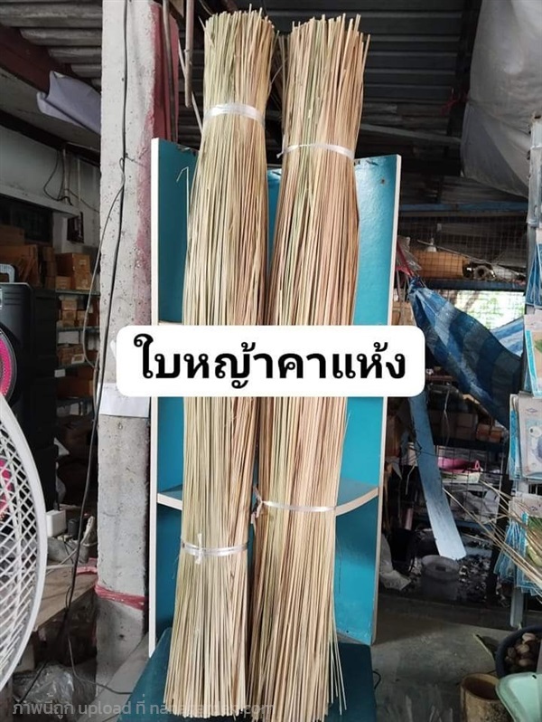 ใบหญ้าคาตากแห้ง พร้อมใช้งาน | เมล็ดพันธุ์ดี เกษตรวิถีไทย - เมืองระยอง ระยอง