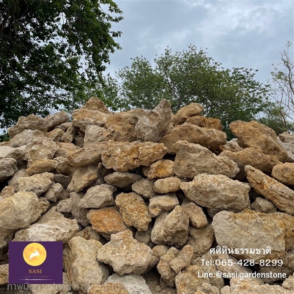 หินฟองน้ำ หินมอส กาญจนบุรี | ศศิหินธรรมชาติ - เมืองกาญจนบุรี กาญจนบุรี
