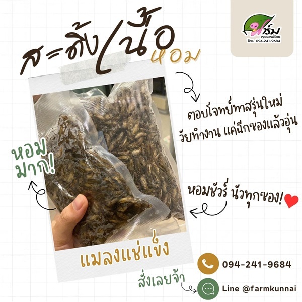 สะดิ้งแช่แข็ง สะดิ้งเนื้อหอม | ฟาร์ม คุณนายเดือน - สองพี่น้อง สุพรรณบุรี