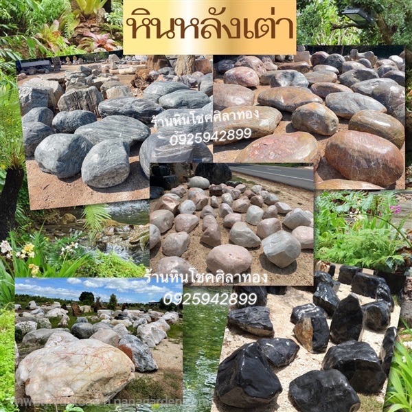 หินหลังเต่า | ร้านหินโชคศิลาทอง - เมืองกาญจนบุรี กาญจนบุรี