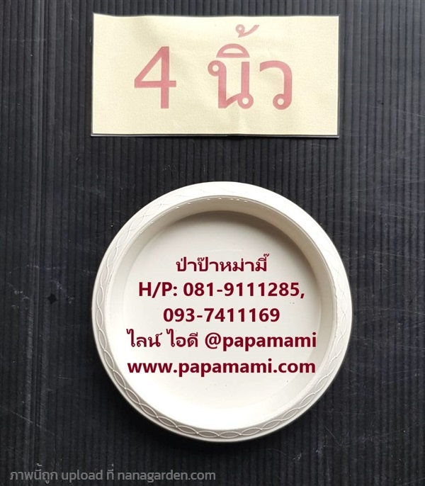 จานรองกระถาง พลาสติก สีขาว กลม 4 นิ้ว | บ้านป่าป๊า & หม่ามี๊ - บางบัวทอง นนทบุรี