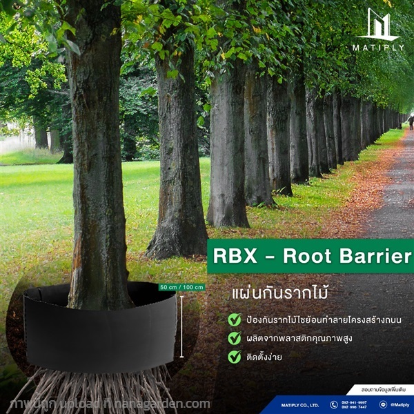 RBX-Root Barrier แผ่นกันรากไม้ใต้ดิน | บริษัท แมทติพลาย จำกัด - จตุจักร กรุงเทพมหานคร