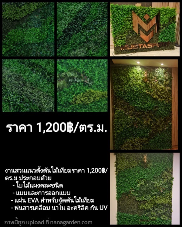 สวนแนวตั้งต้นไม้เทียม(ใบไม้แผง) 1,200฿/ตร.ม. | ร้านพีพีลิฟวิ่งวอล์ - ไทรน้อย นนทบุรี