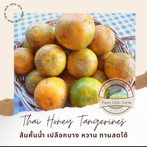 ส้มสายน้ำผึ้งส้มลาย 1 กิโลกรัม ผลกลางเบอร์ 4 | Chaiboongardenshop - คอนสวรรค์ ชัยภูมิ