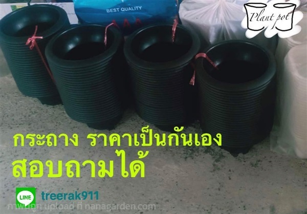 กระถางพลาสติก | อาภิญญาลักษณ์ - หนองจอก กรุงเทพมหานคร