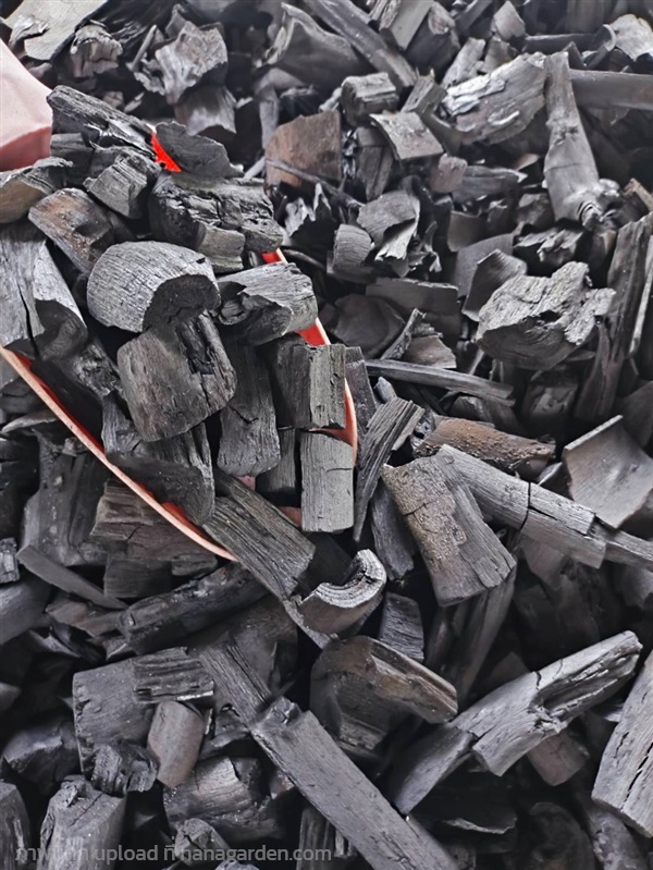 ?? ถ่านไบโอชาร์แบบก้อน Biochar | Alungkarn - เมืองราชบุรี ราชบุรี