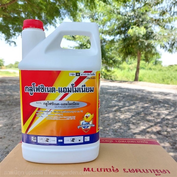 กลูโฟซิเนต- แอมโมเนียม แกลอนขาวฝาแดง | เอ็มวี อกรีเทค(ศรีประจันต์) - ศรีประจันต์ สุพรรณบุรี
