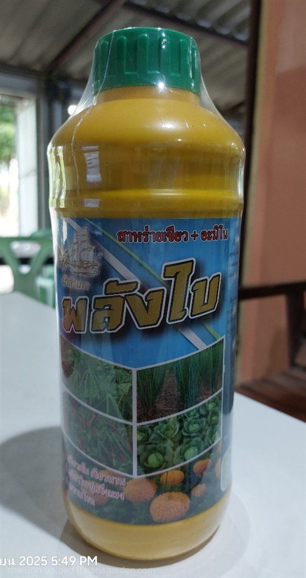 พลังใบ สาหร่ายเขียว+อะมิโน | เอ็มวี อกรีเทค(ศรีประจันต์) - ศรีประจันต์ สุพรรณบุรี