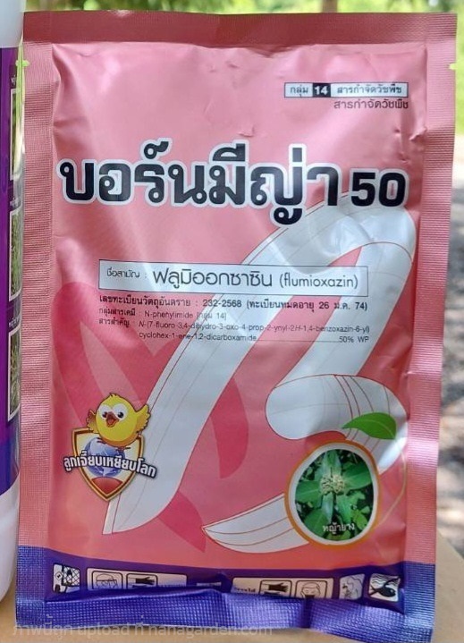 บอร์นมีญ่า 50 | เอ็มวี อกรีเทค(ศรีประจันต์) - ศรีประจันต์ สุพรรณบุรี