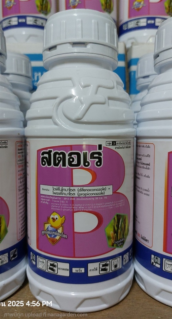 สตอเร่ ป้องกันกำจัดโรคเมล็ดด่างในข้าว | เอ็มวี อกรีเทค(ศรีประจันต์) - ศรีประจันต์ สุพรรณบุรี