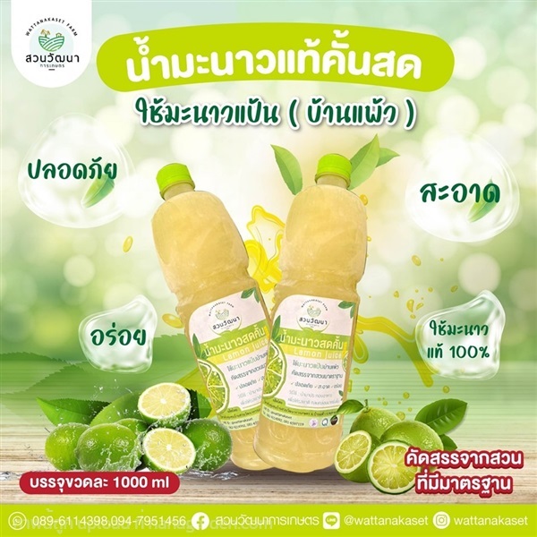 น้ำมะนาว คั้นสด แท้ 100% มะนาวแป้น บรรจุ1ลิตร | สวนวัฒนาการเกษตร - บ้านแพ้ว สมุทรสาคร