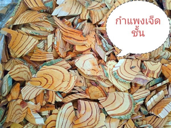 กำแพงเจ็ดชั้นตากแห้งสมุนไพรรักษาเบาหวาน | วรากรสมุนไพร - เมืองนครราชสีมา นครราชสีมา