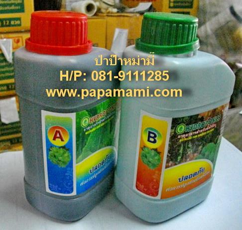 ธาตุอาหาร A, B สำหรับปลูกพืชไร้ดิน 1ลิตร | บ้านป่าป๊า & หม่ามี๊ - บางบัวทอง นนทบุรี